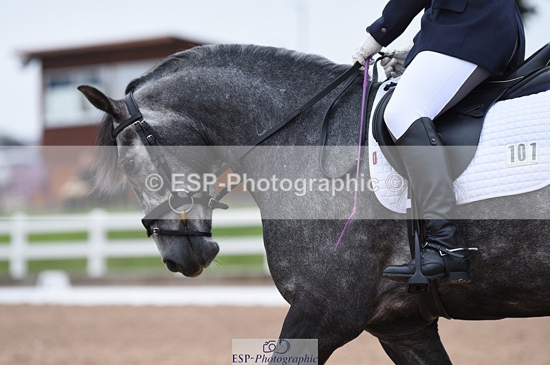 230708A-103726-01412 - Prelim 7