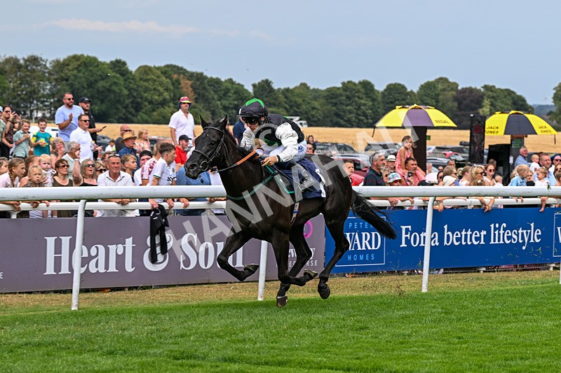 280726-Race 3-Black Velvet Boy-0673 - Race 3 14.45pm EBF Restricted Maiden Stakes