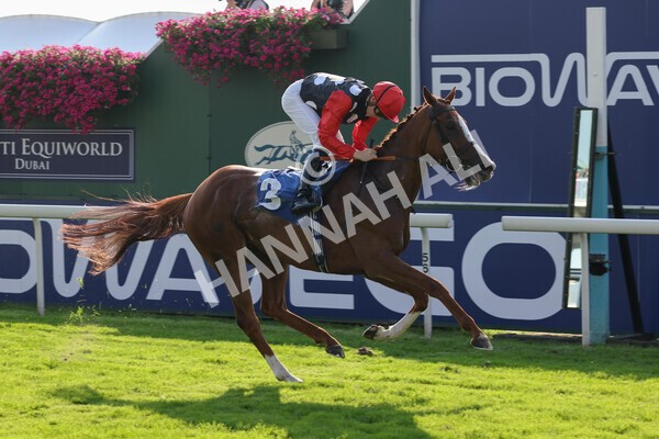 yr05092021r5-22 - Race 5 4.20pm Little Green Rascals Children's Nurseries Stakes