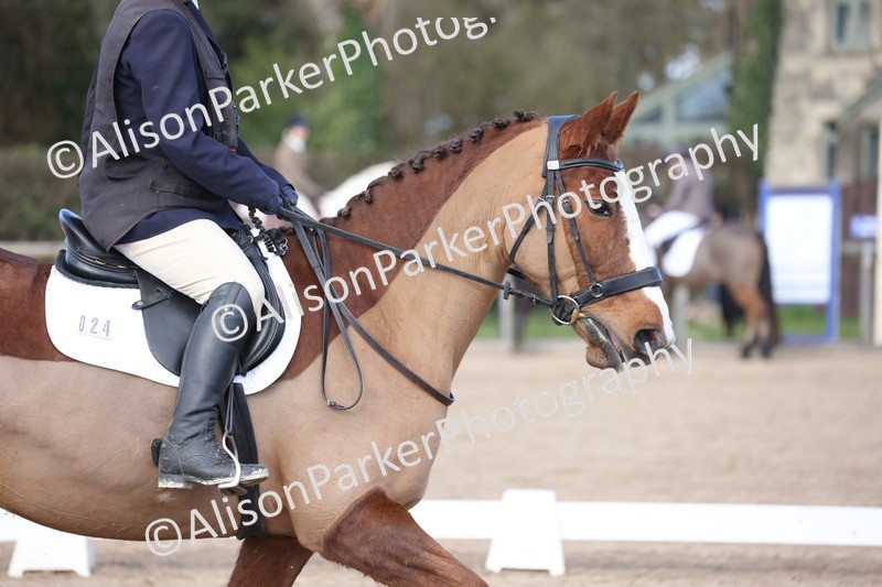 20260228-0519 - Class 4 - Prelim 2