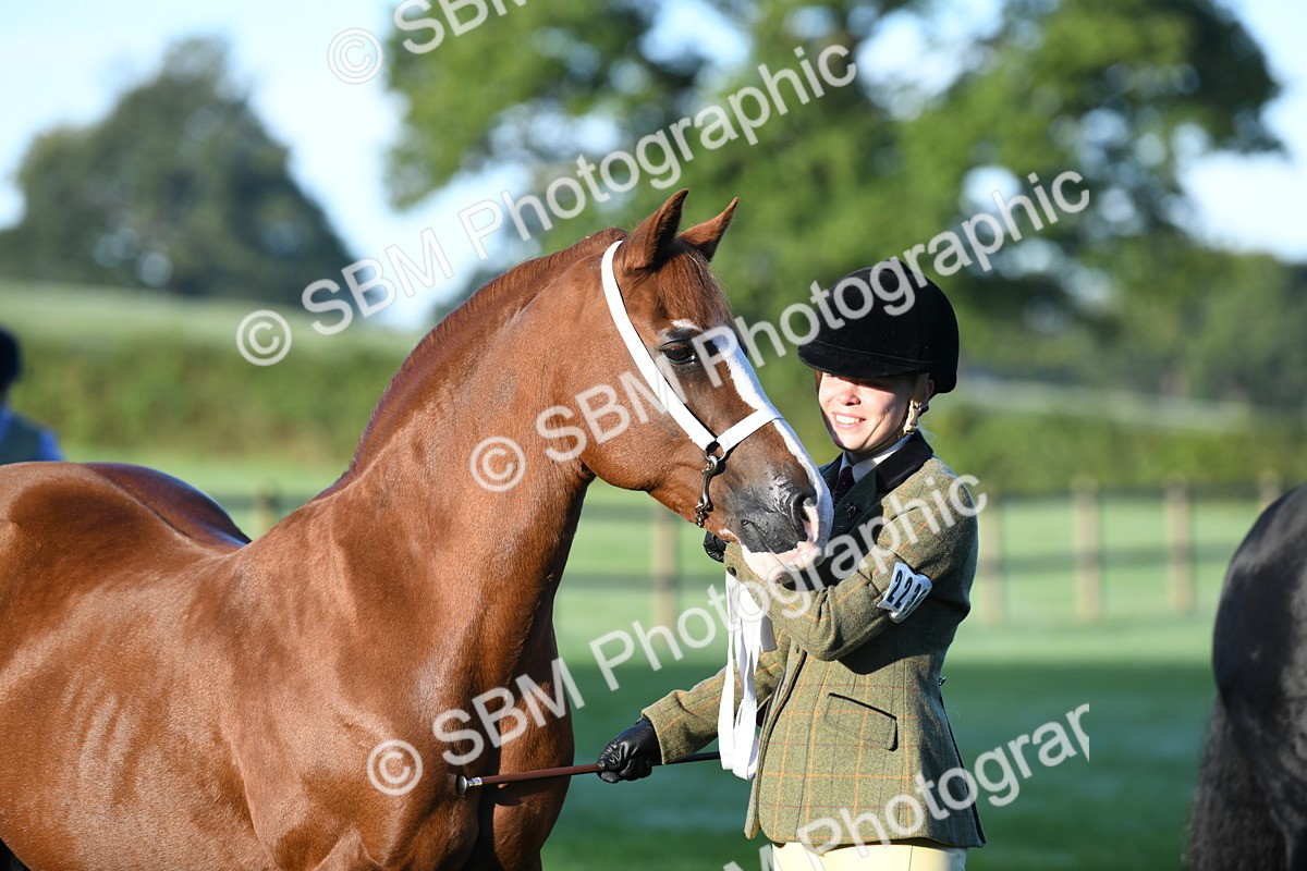SBM_32765 - S15 - Condition & Turnout In Hand