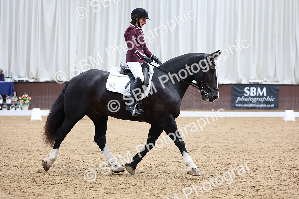 SBM_017159 - Class 16 - Novice FSM - 13.02-13.58