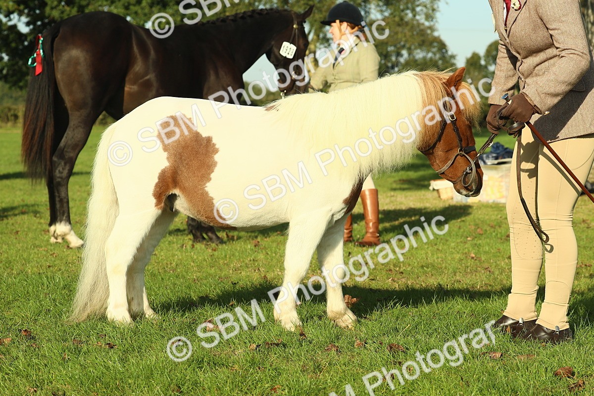 SBM_58573 - S37 - Starters In Hand Showing