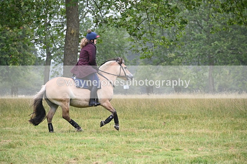 WJ6_0755 - Time at Kitchen Jump 11:34 to 12:28