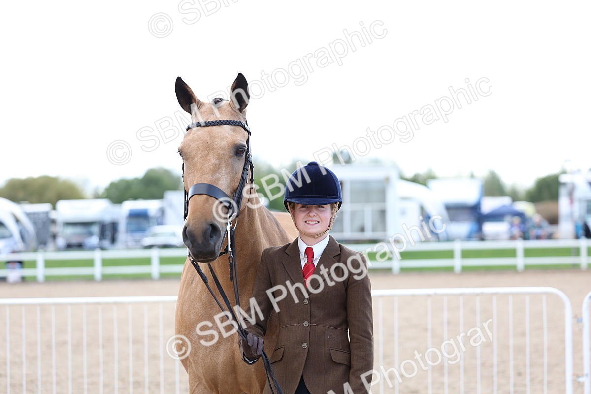 SBM_15378 - Class 312 - IH Competition Horse-Pony