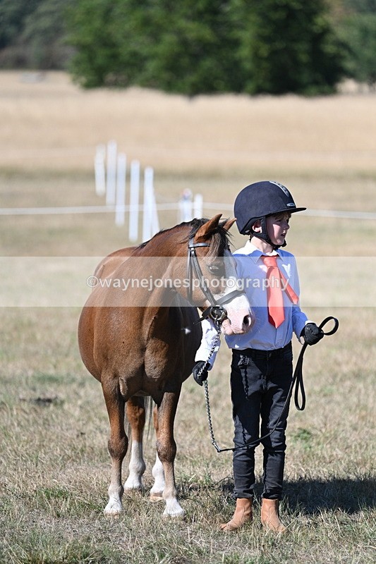 WJ7_2100 - Class 44 Child's Best Friend