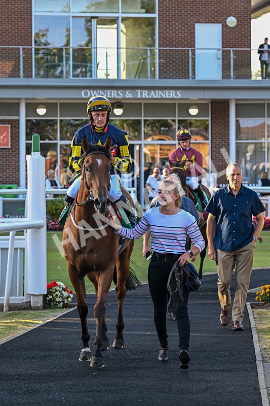 160824-Race 5-Ready Freddie Go-9639 - Race 5