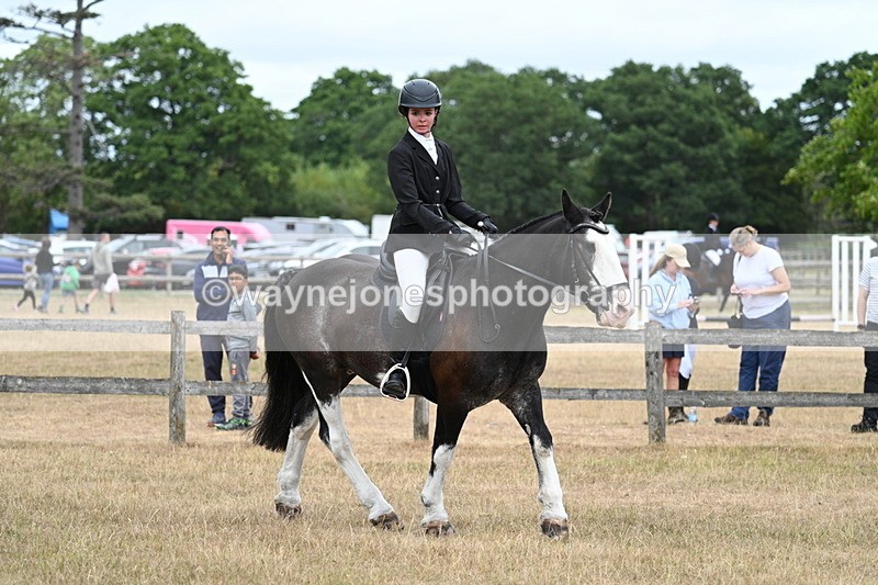 WJ7_7722 - Class 3 Family Mount