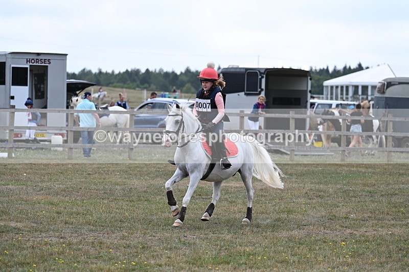 WJ7_0703 - XC Time 10:46 to 11:14