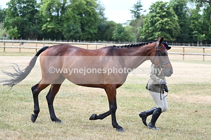 WJ7_1910 - Class 4a Prettiest Mare 14.2hh and over hand