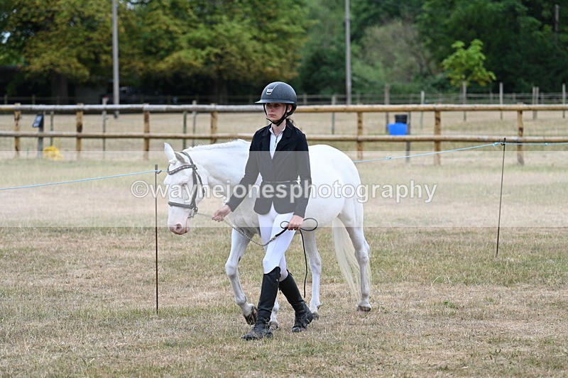 WJ7_8020 - Class 4 Prettiest Mare up to 14.2hh