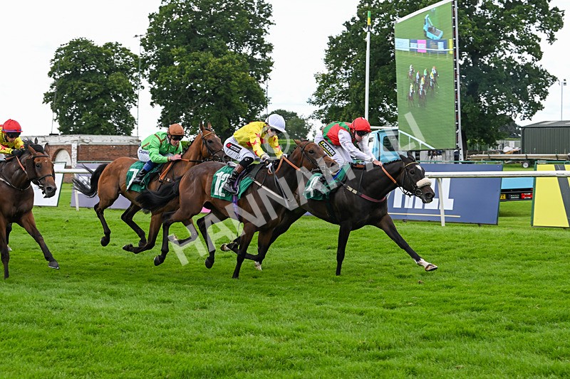 170724-Race 5-Abruzzo Mia-0248 - Race 5