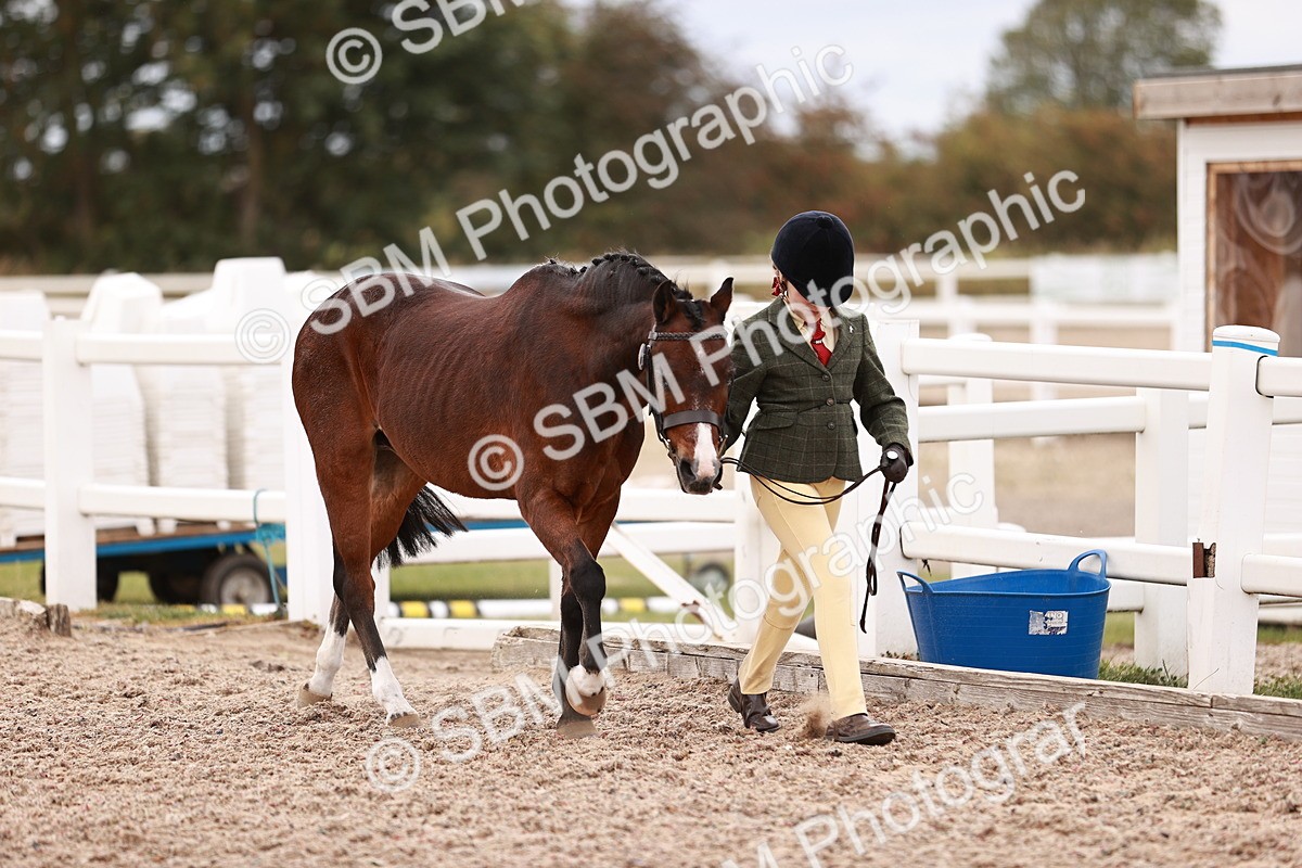 SBM_18537 - Class 421 - Childs Best Friend - Jnr
