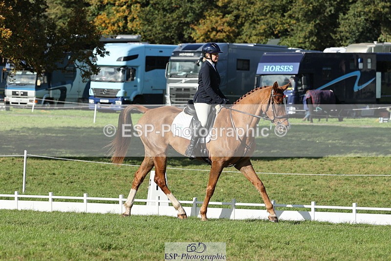 251024A-144234-14264 - G-573-Lisa.Stock