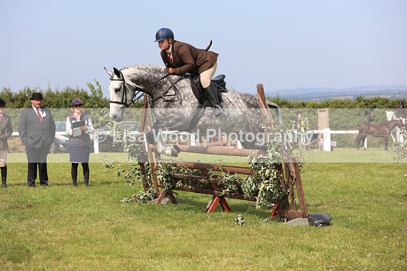 JPP_3999 - Class 24: Working Hunter 90cm