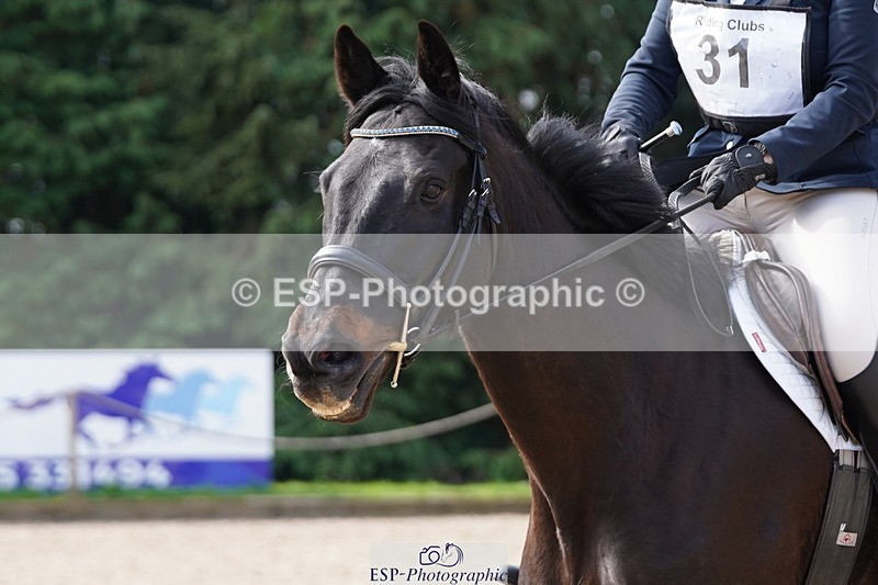 250420A-102510-00347 - Cls 02 70cm