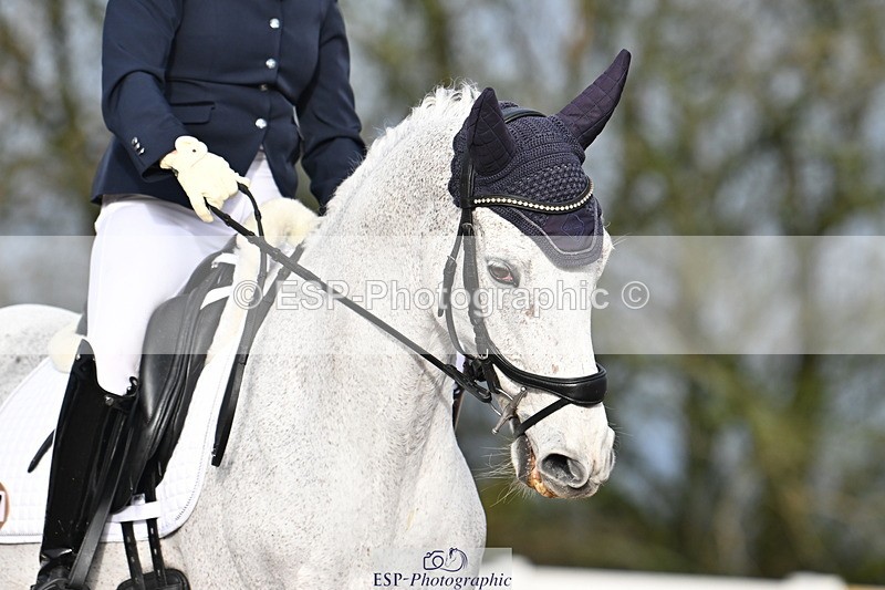 240218A-091759-04712 - 147-Tammie.Wells-Silver.moonshine