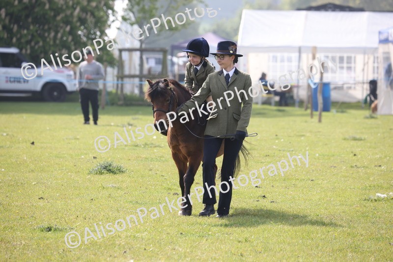 20260426-0345 - Class 30 - Tiny Tots Lead Rein
