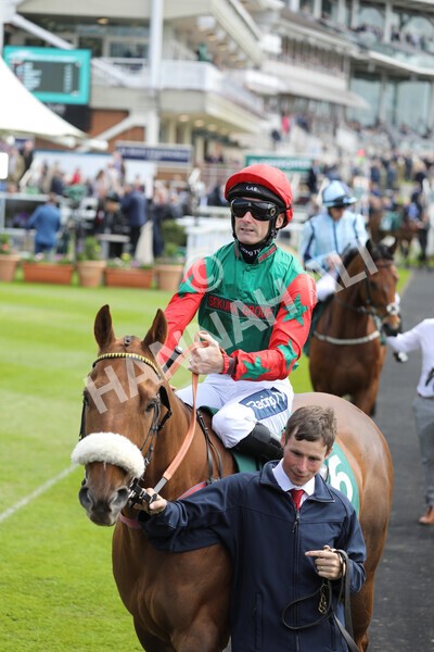 yr12052022r1-13 - Race 1 1.50pm Paddy Power 'Making Flat Less Flat' Stakes