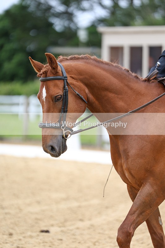 3E7A9388 - Class 2: Intro 1 2024 Section B