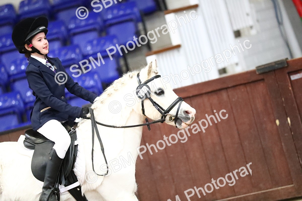 SBM_000464 - Class 2 - 40cm