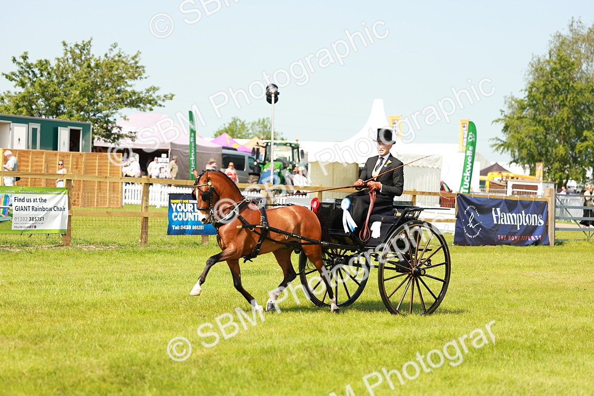 SBM_02885 - Class 2-4 - HOYS Private Driving