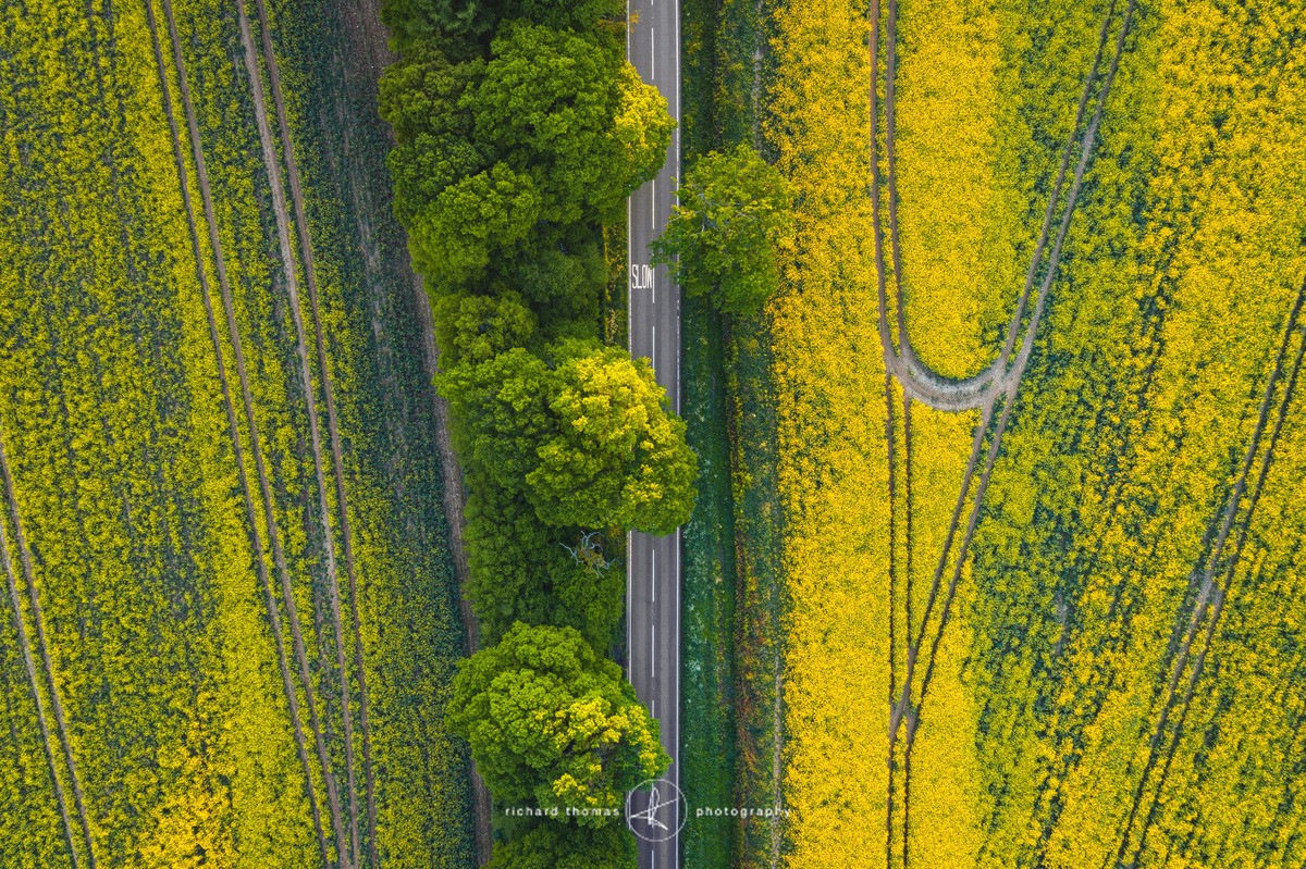 Slow  - yellow and green. - FROM ABOVE