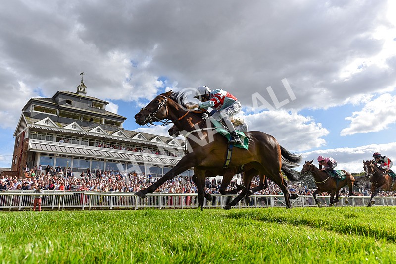 030824-Race 6-Night Breeze-2532 - Race 6