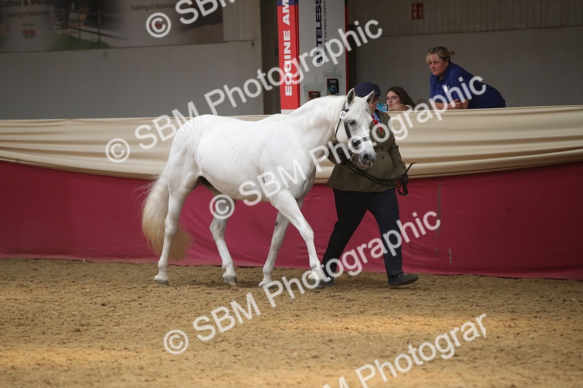 SBM_05581 - Class 9R - Regional IH Pre-Vet