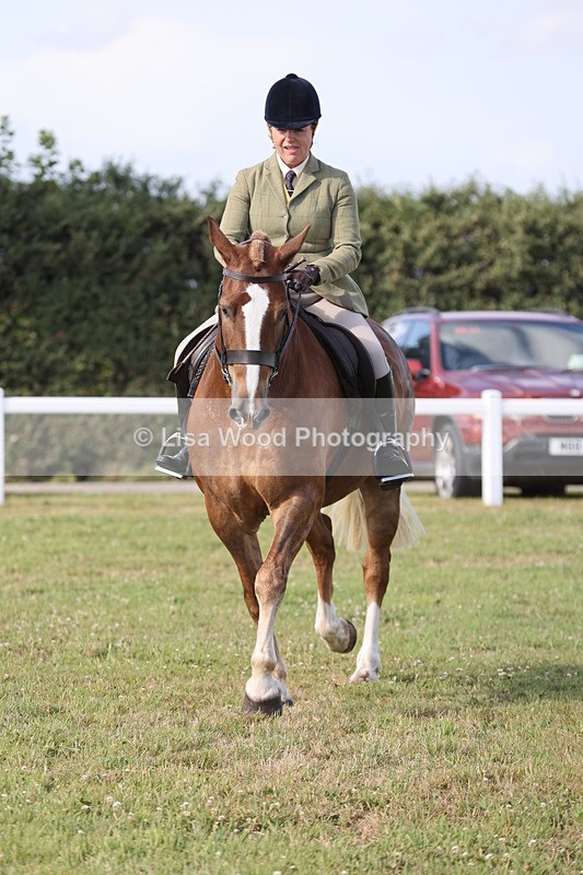 JPP_3021 - Class 20: Working Hunter 70cm