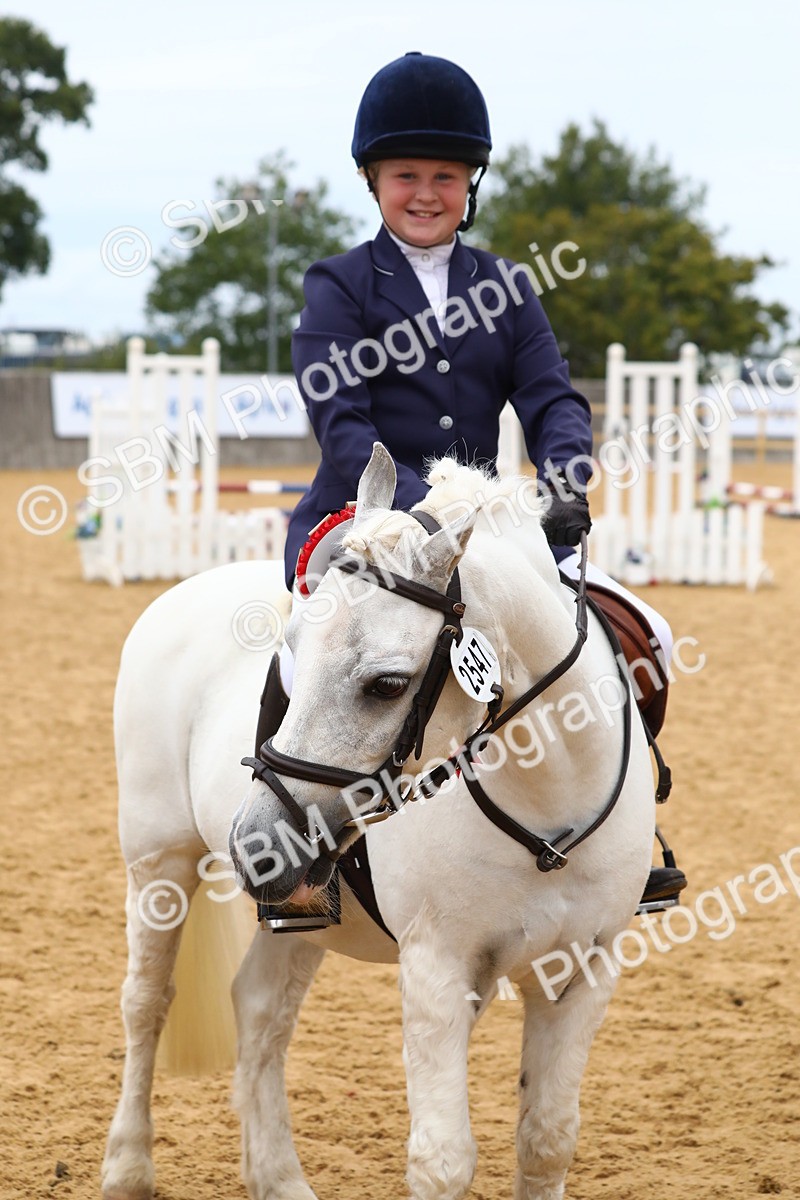 SBM_65154 - Supreme Championship 50cm 60cm 70cm