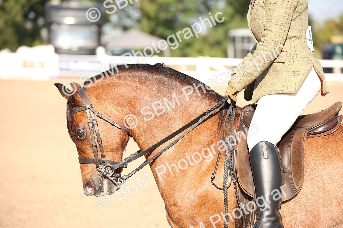 SBM_00703 - Class 14 Ridden M&M Wildcard