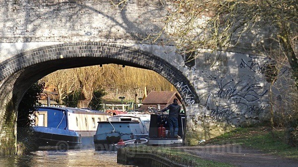 Grand Union Canal, Paddington Branch, Horsendon Hill, Ealing - LANDSCAPES & TREES