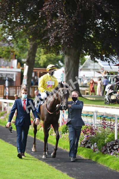 yr10072021r7-21 - Race 7: 5.15pm John Smith's Stakes