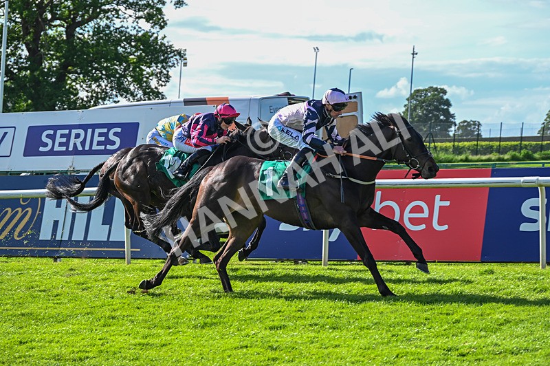 310526-Race 4-Brielle-8870 - Race 4 17.15pm Sky Bet Extra Places Handicap