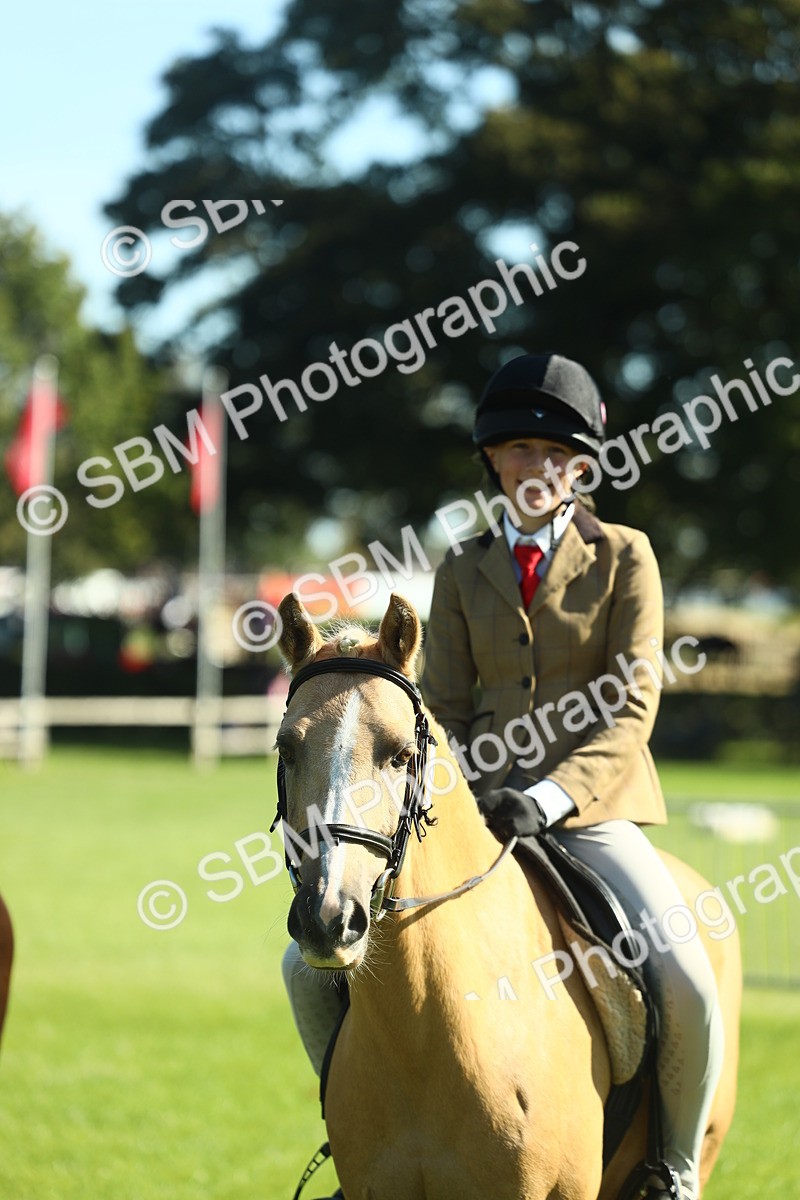 SBM_39047 - S29 - Novice & Newcomers Working Hunter Pony