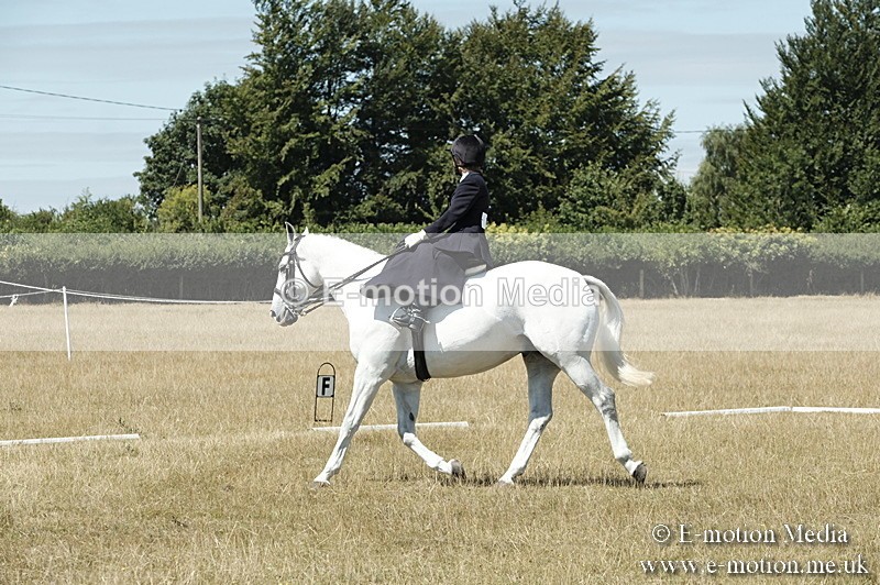 _PJP5948 - Dressage Classes BVRC Show 2018