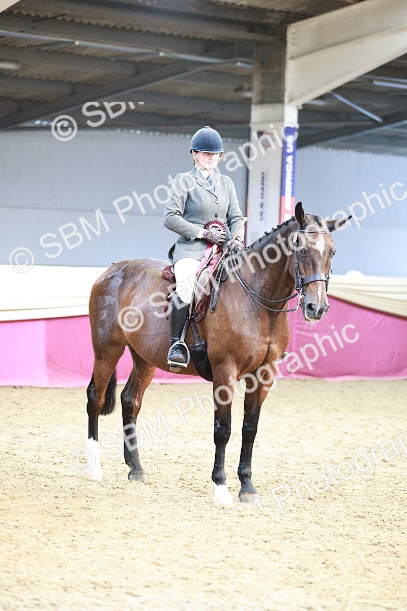 SBM_08691 - Regional Ridden Champ