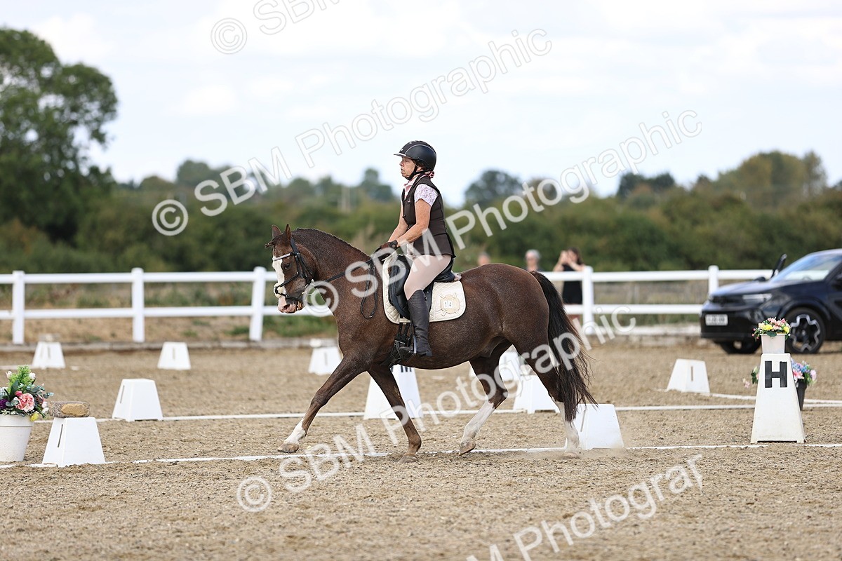 SBM_015943 - Class 5 - E5 Bronze  16.18.17.22
