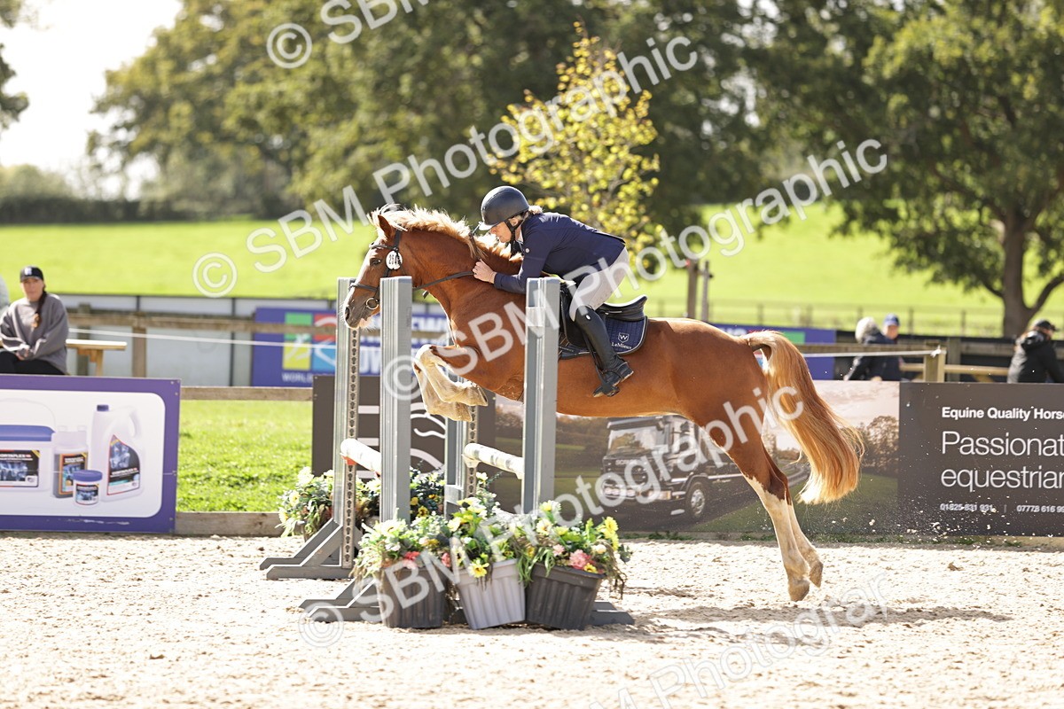 SBM_18554 - Supreme Championship
