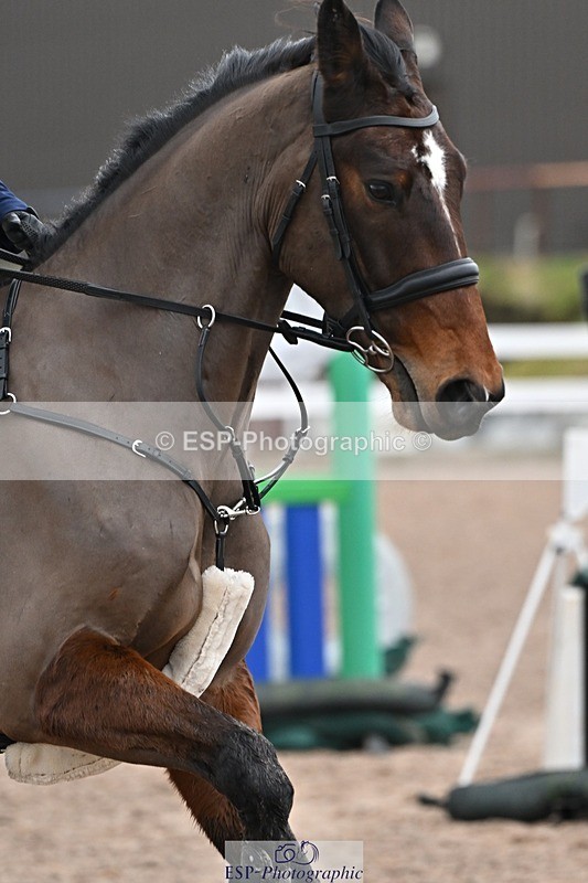 250221-093003-00123 - Cls 2 British Novice and 90cm Open