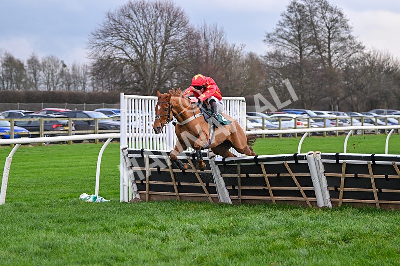 171224-Race 4-Wise Eagle-3313 - Race 4