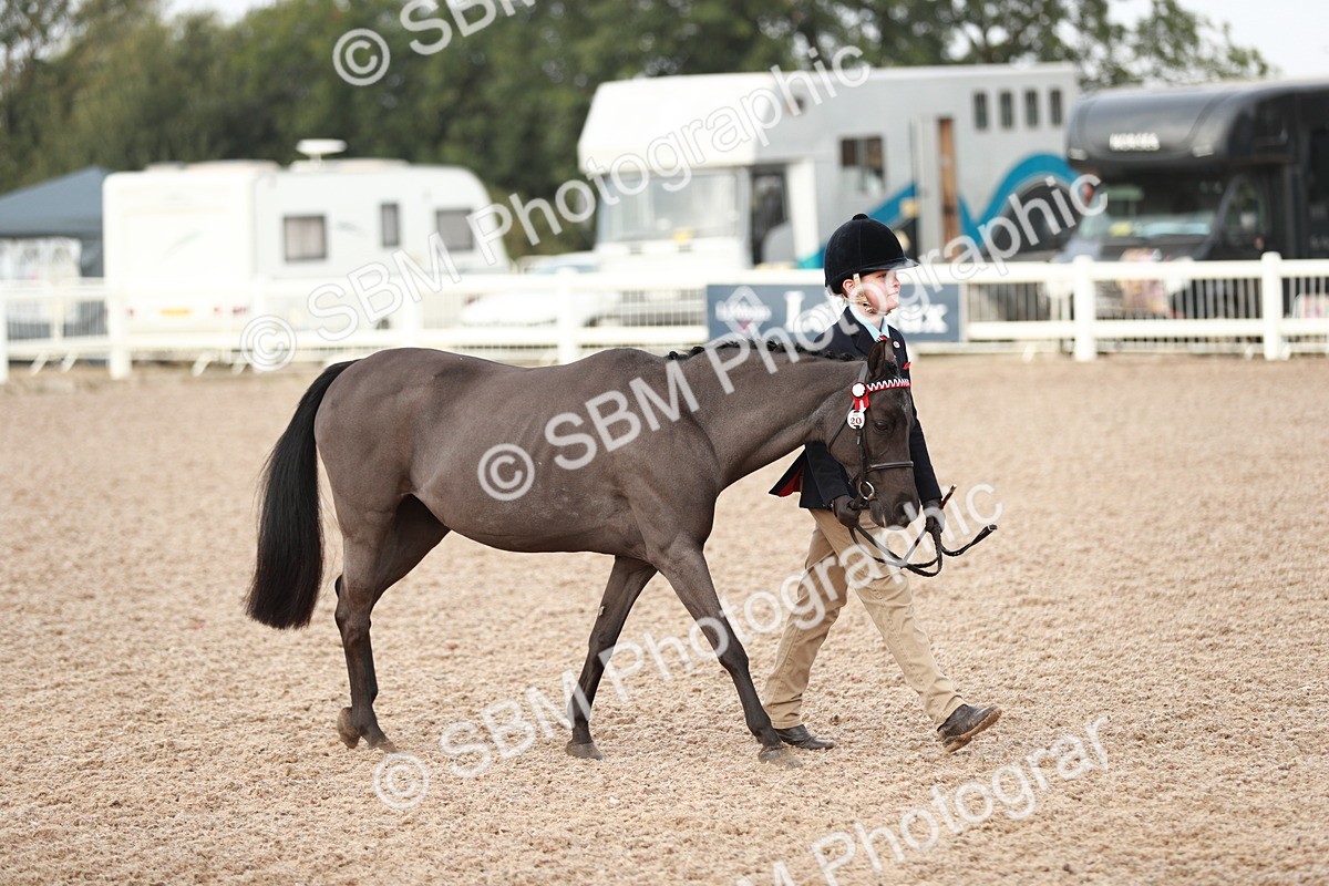 SBM_09469