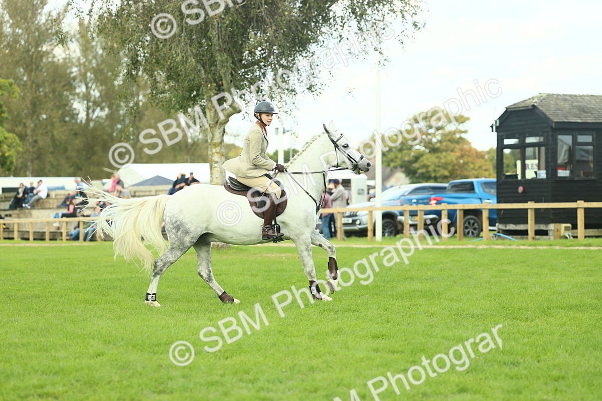 SBM_47978 - S32 - Novice & Newcomers Working Hunter