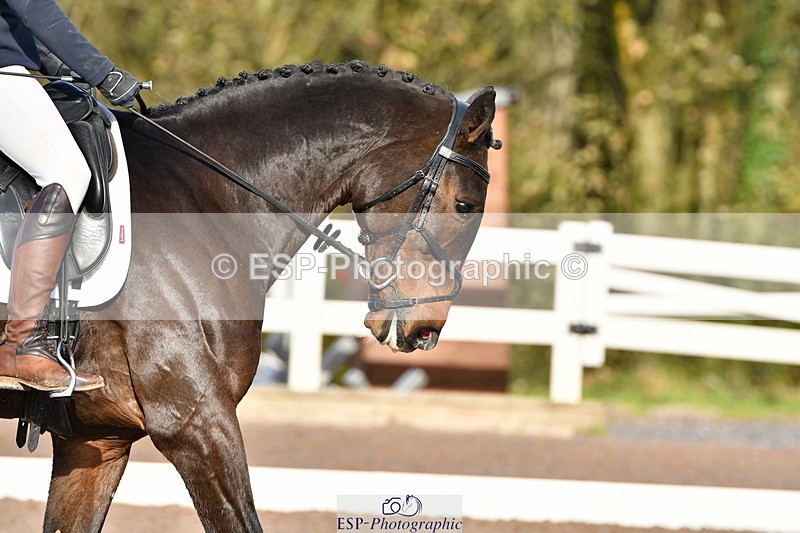 231104A-120942-00382 - Cls 7 Elementary 43