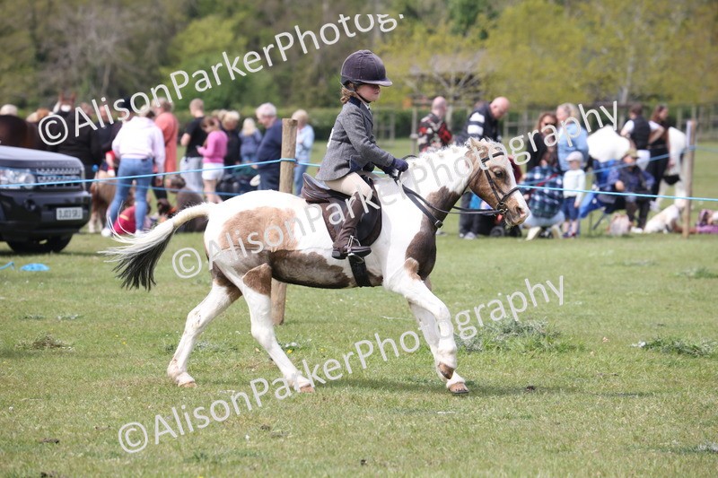 20260426-2963 - Class 33 - Best Pony 14.2hh and Under