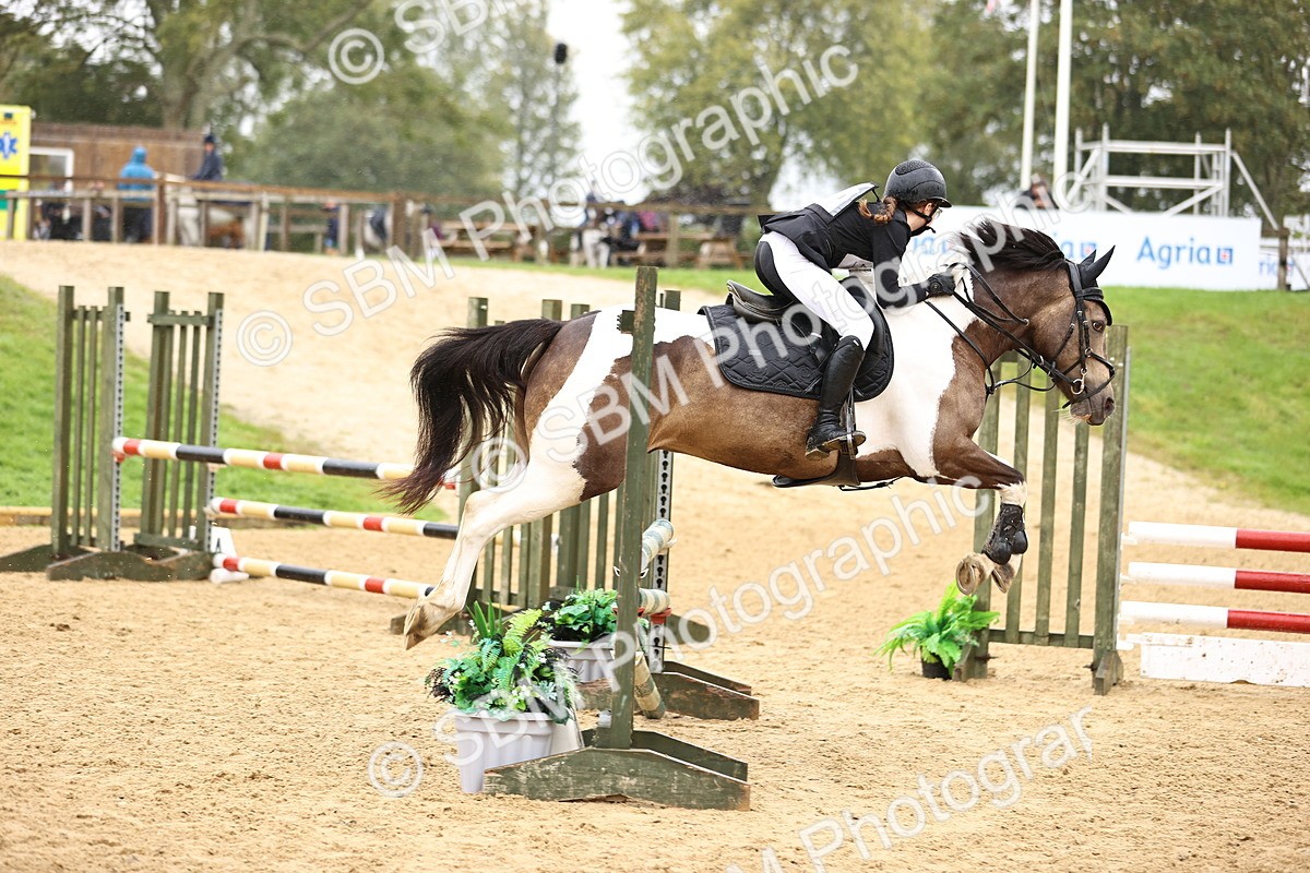 SBM_70002 - Supreme Championship 80cm 85cm