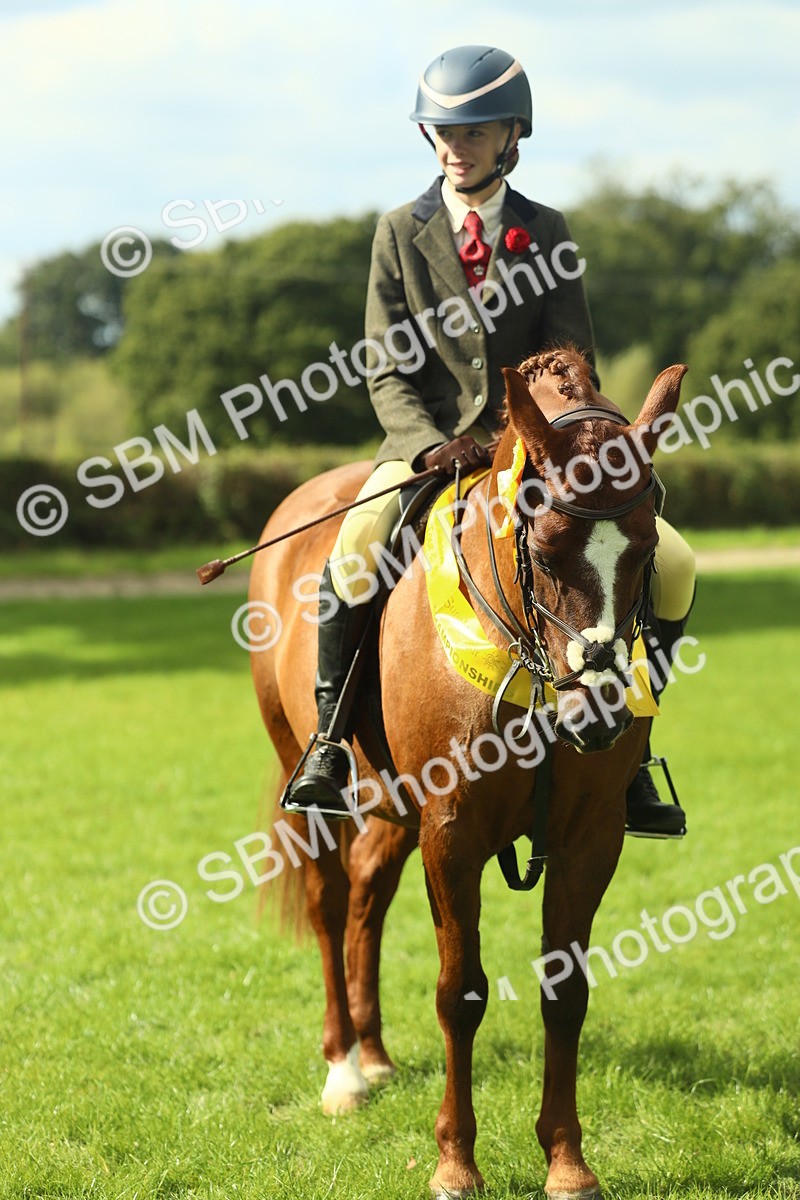SBM_44984 - Working Hunter Pony Supreme Championship