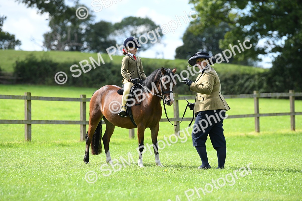 SBM_42528 - S20 - Lead Rein Mountain & Moorland Pony