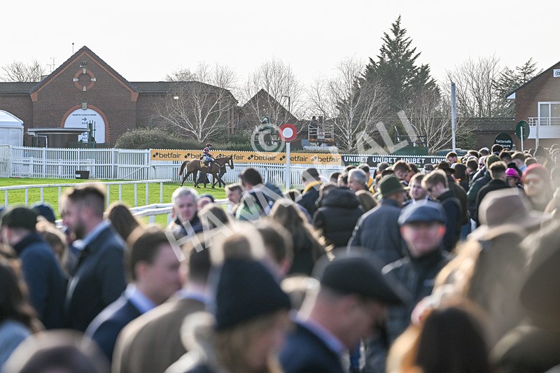 250125-Race 3-Moon DOrange-4294 - Race 3